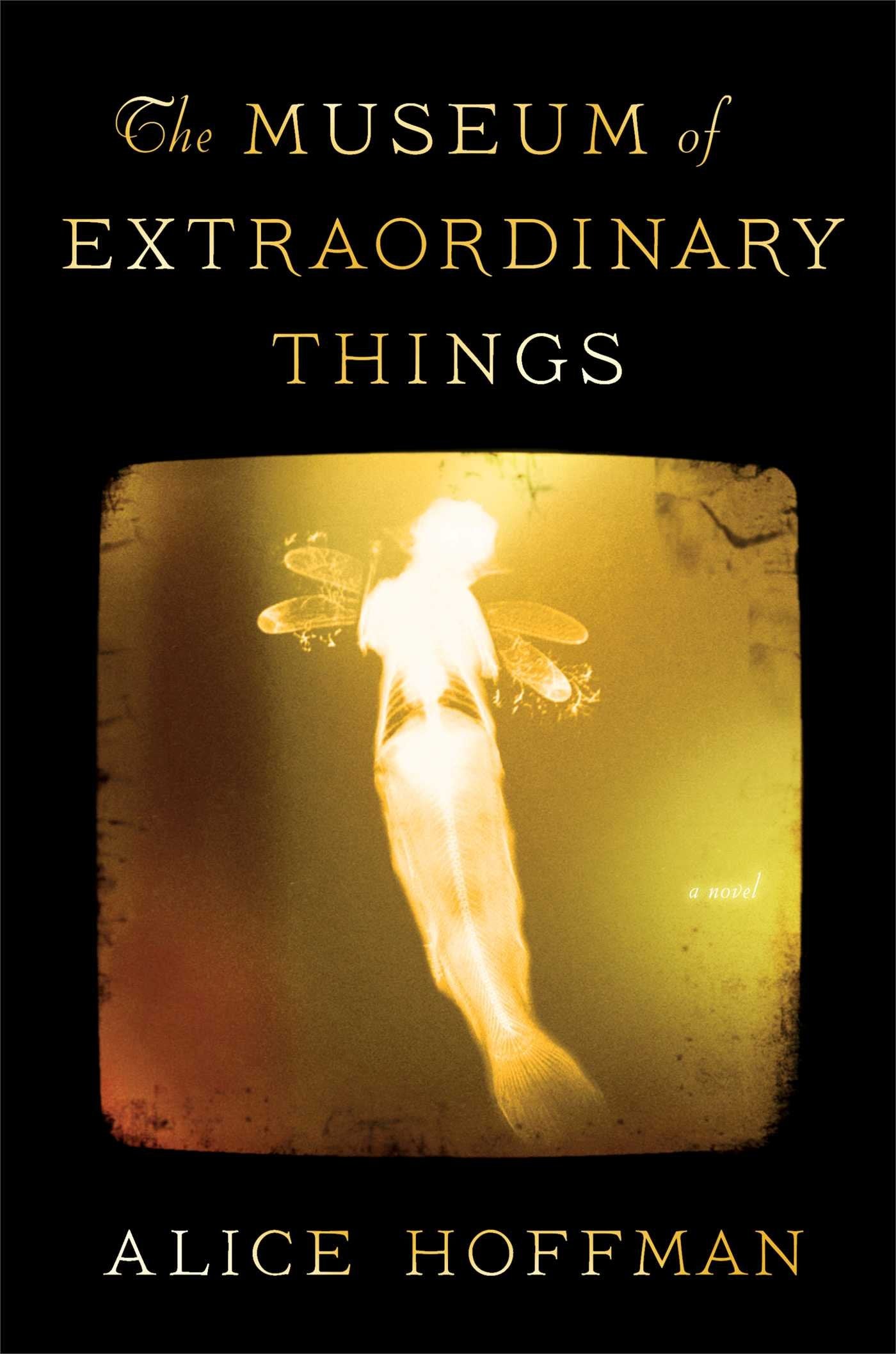 The Museum of Extraordinary Things: A Novel,Used