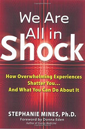 We Are All In Shock: How Overwhelming Experiences Shatter You...And What You Can Do About It,Used