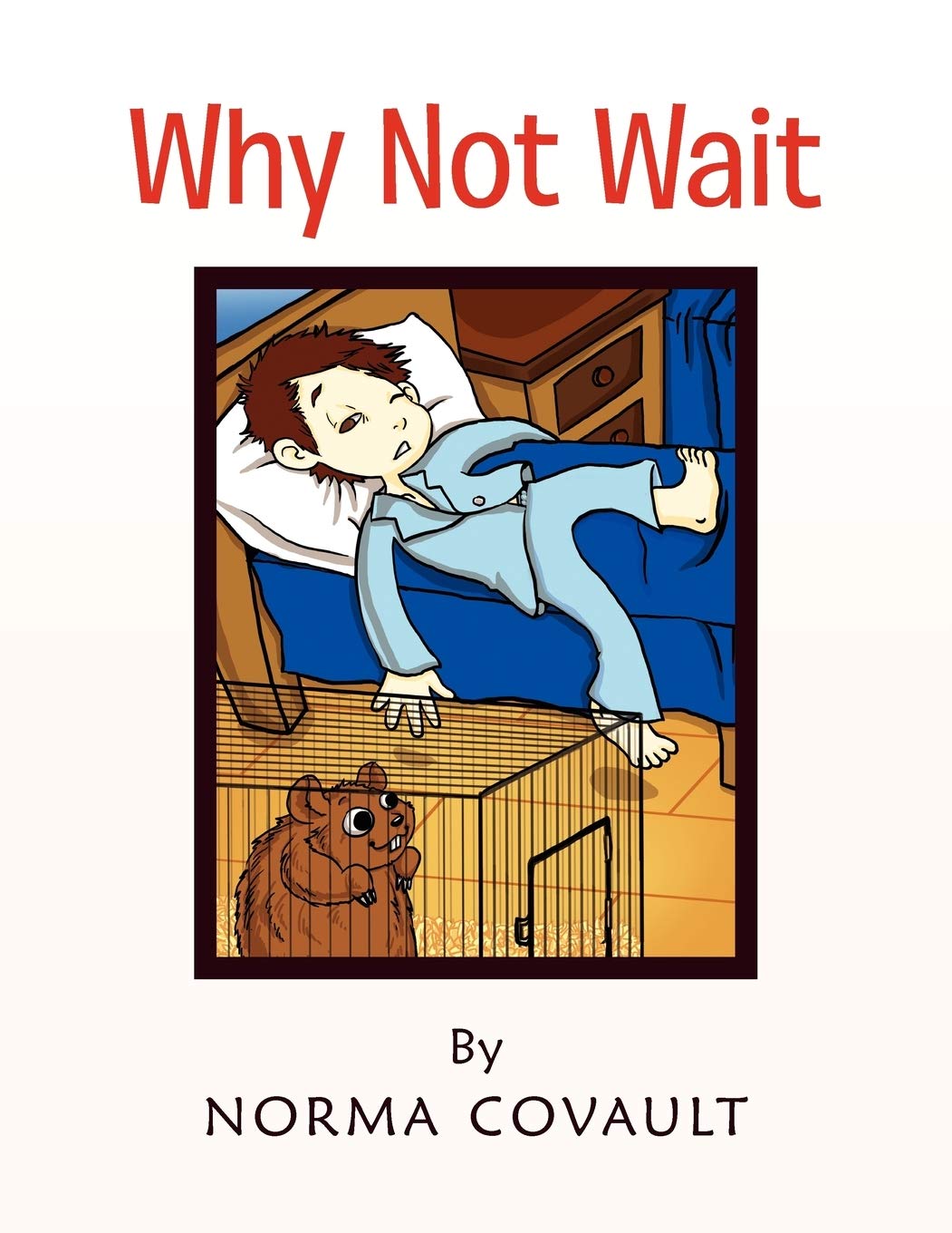 Why Not Wait,Used