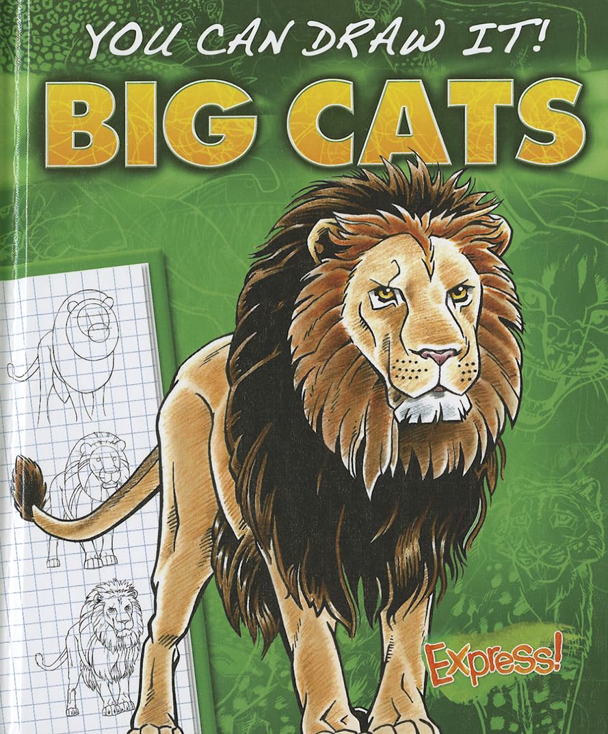 Big Cats (You Can Draw It!),Used