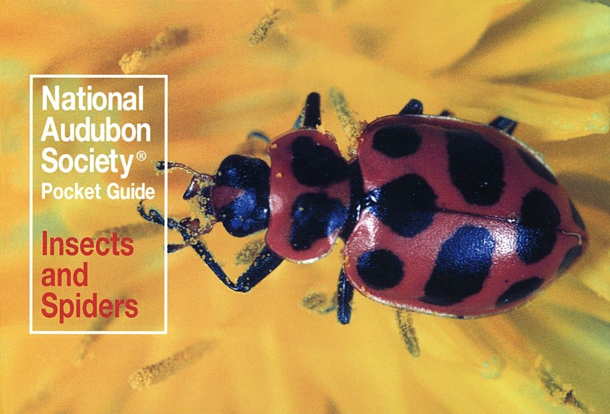 National Audubon Society Pocket Guide: Insects And Spiders (National Audubon Society Pocket Guides)