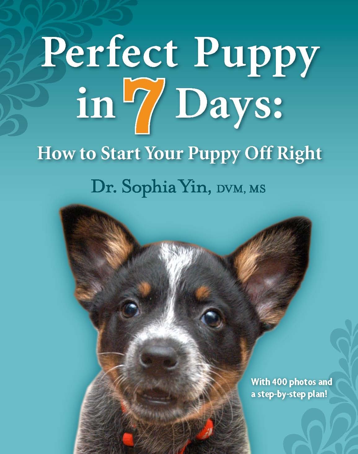 Perfect Puppy In 7 Days: How To Start Your Puppy Off Right
