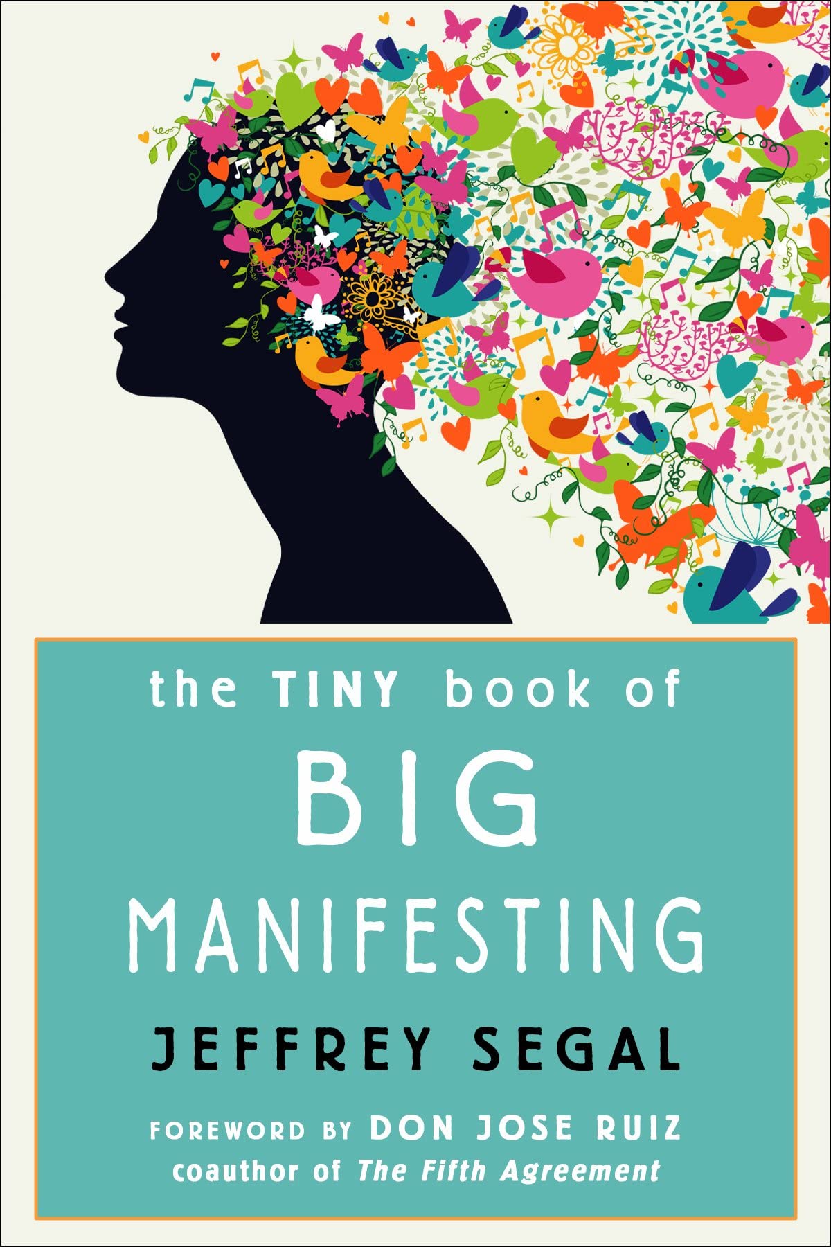The Tiny Book of Big Manifesting,Used
