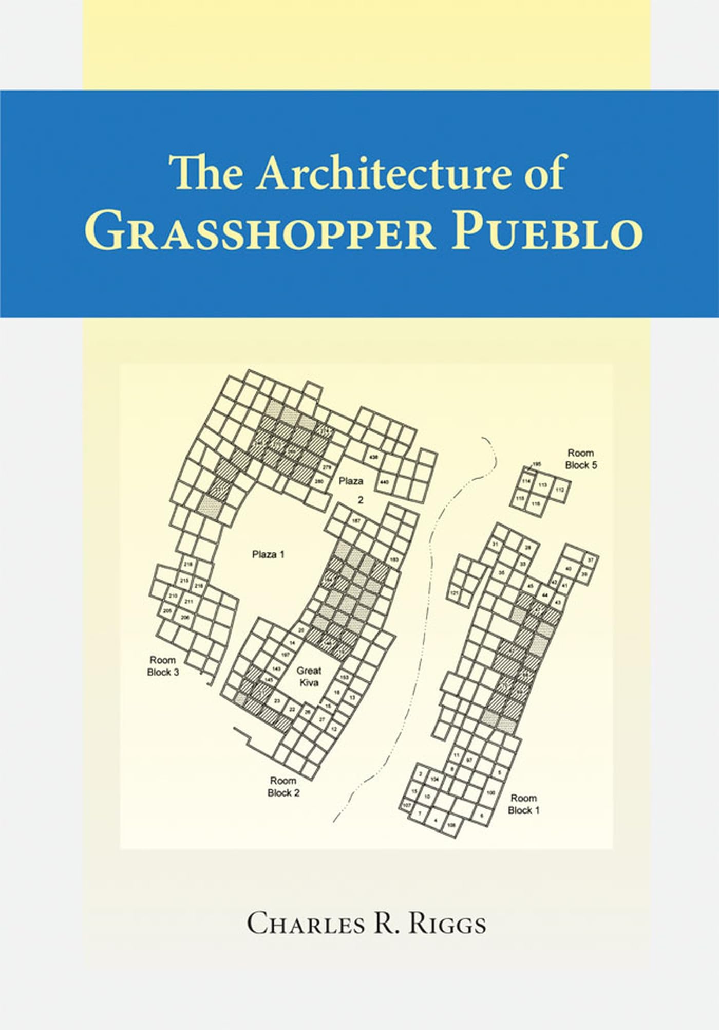 Architecture Of Grasshopper Pueblo, The,Used