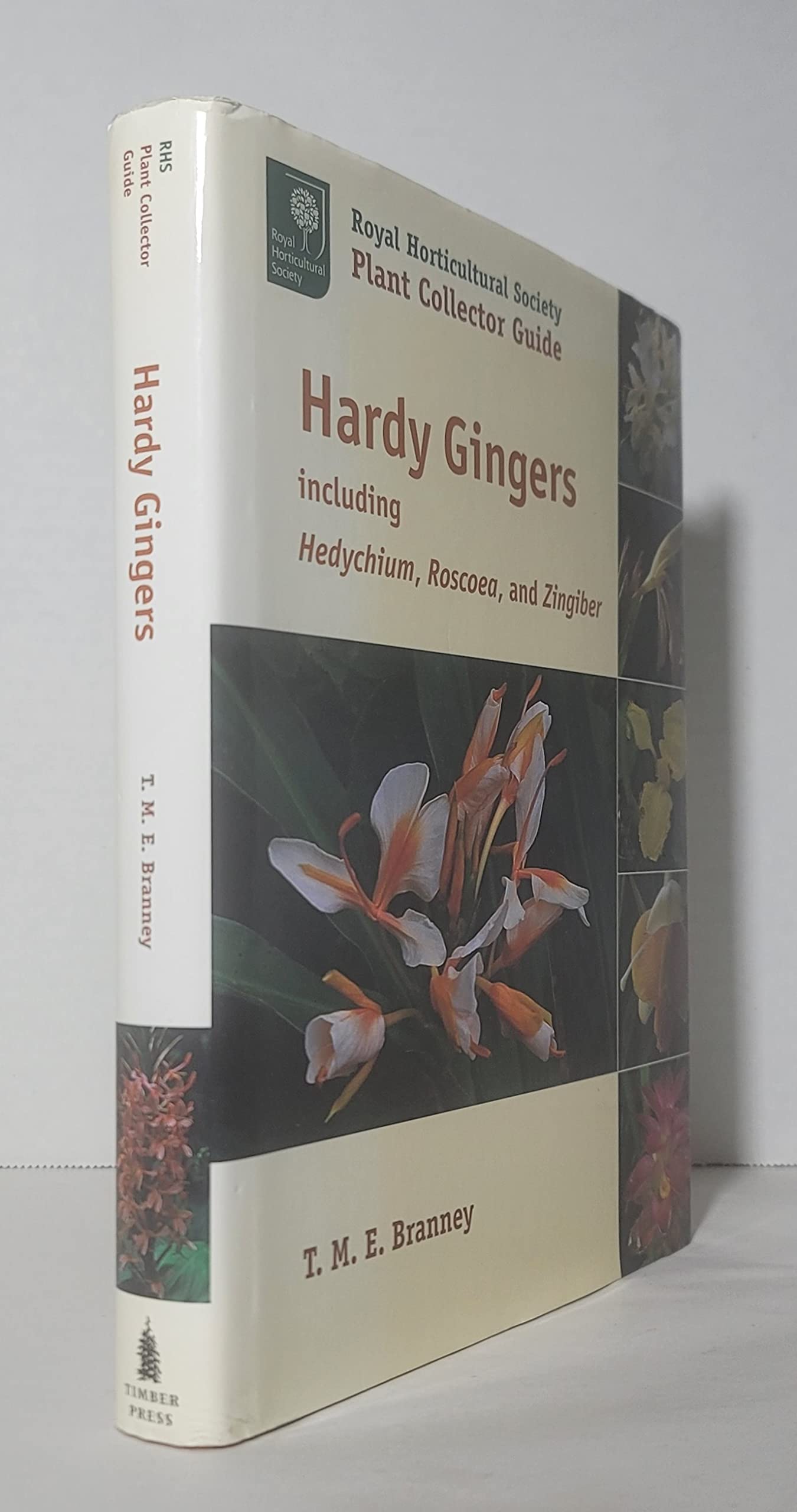 Hardy Gingers: Including Hedychium, Roscoea, and Zingiber (Royal Horticultural Society Plant Collector Guide) (ROYAL HORTICULTUR,Used