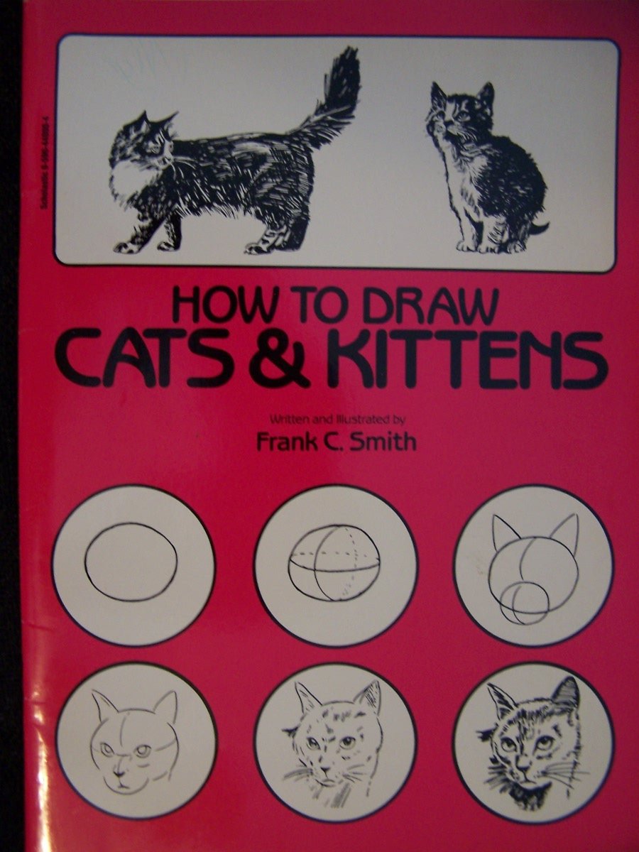 How To Draw Cats And Kittens