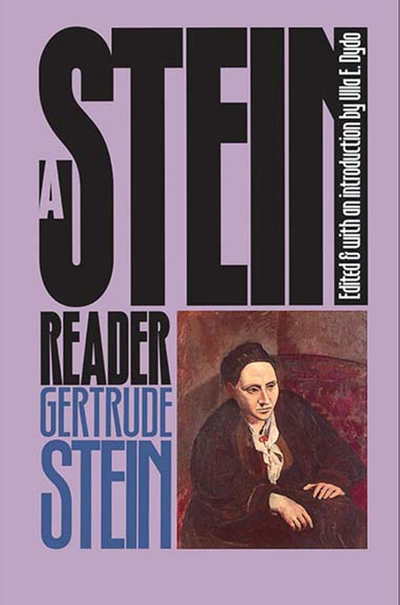 A Stein Reader,Used