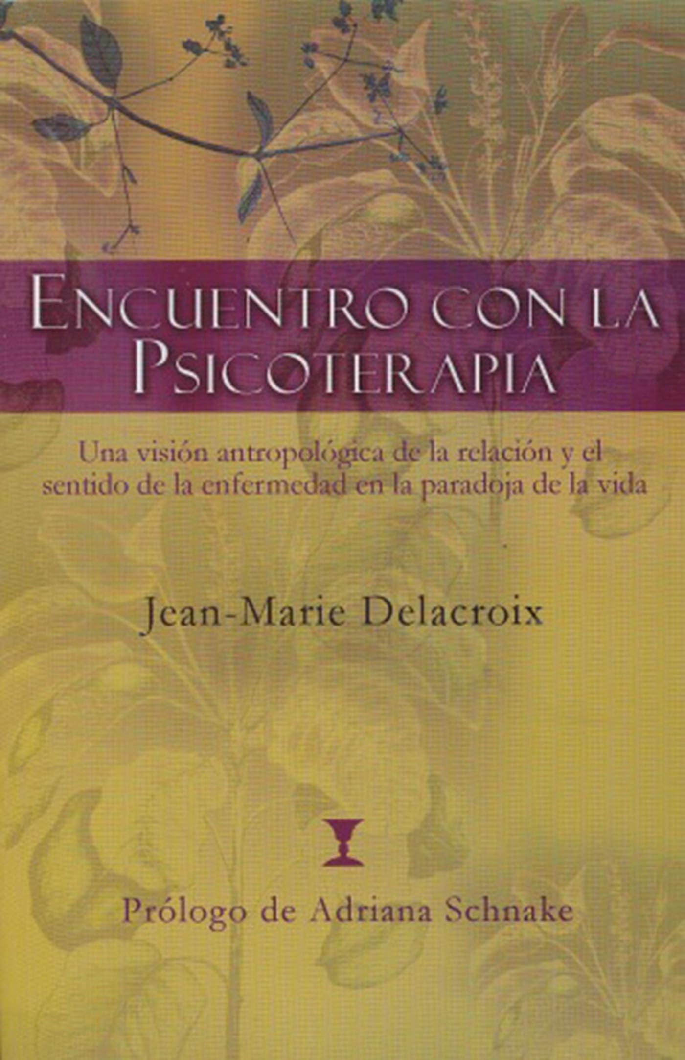 Encuentro con la psicoterapia: Una visi? antropol?ica de la relaci? y el sentido de la enfermedad en la paradoja de la vida (Spa,Used
