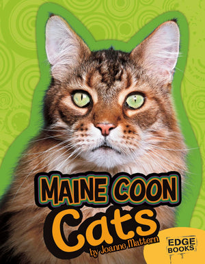 Maine Coon Cats (All about Cats),Used