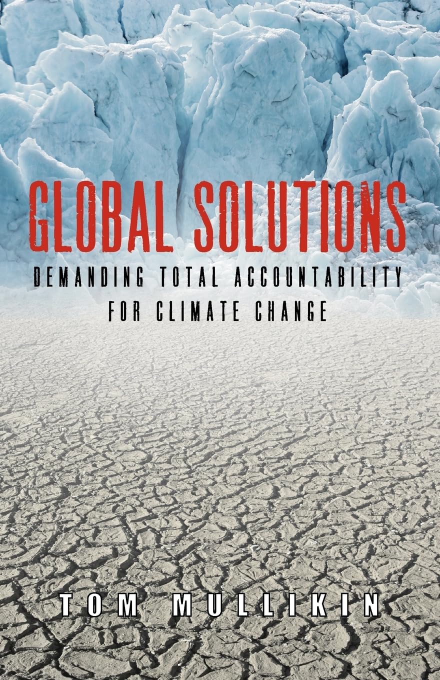Global Solutions: Demanding Total Accountability For Climate Change,Used