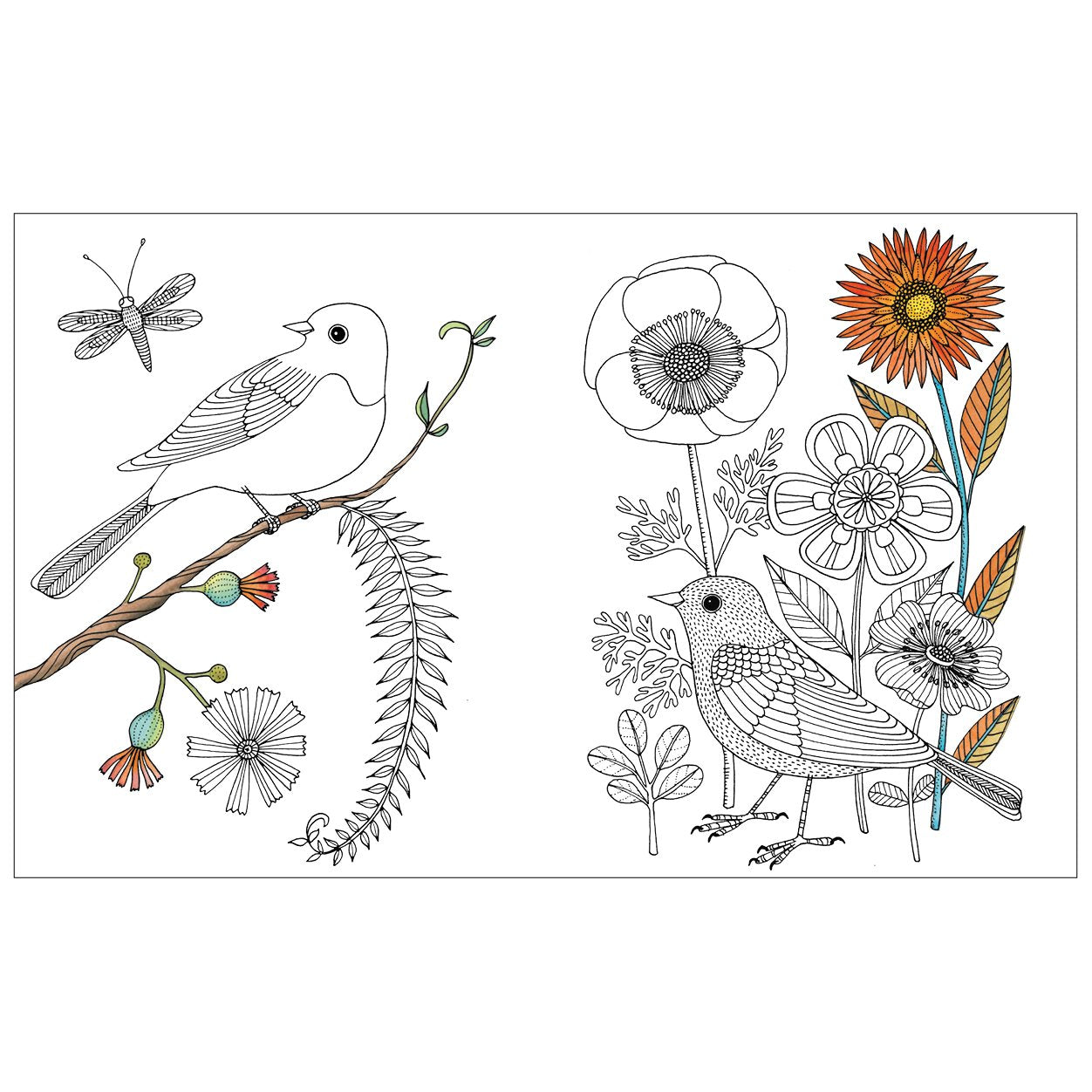 Avian Friends Guided Activity Journal