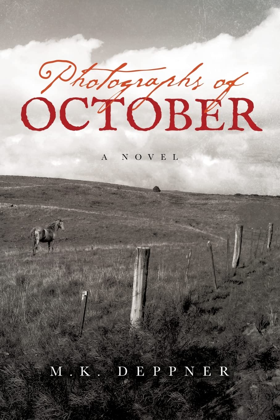 Photographs of October: A Historical Thriller from America's Heartland,Used