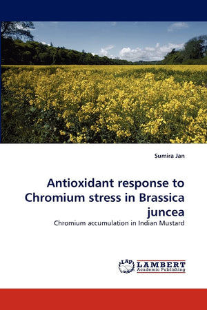 Antioxidant response to Chromium stress in Brassica juncea: Chromium accumulation in Indian Mustard,Used