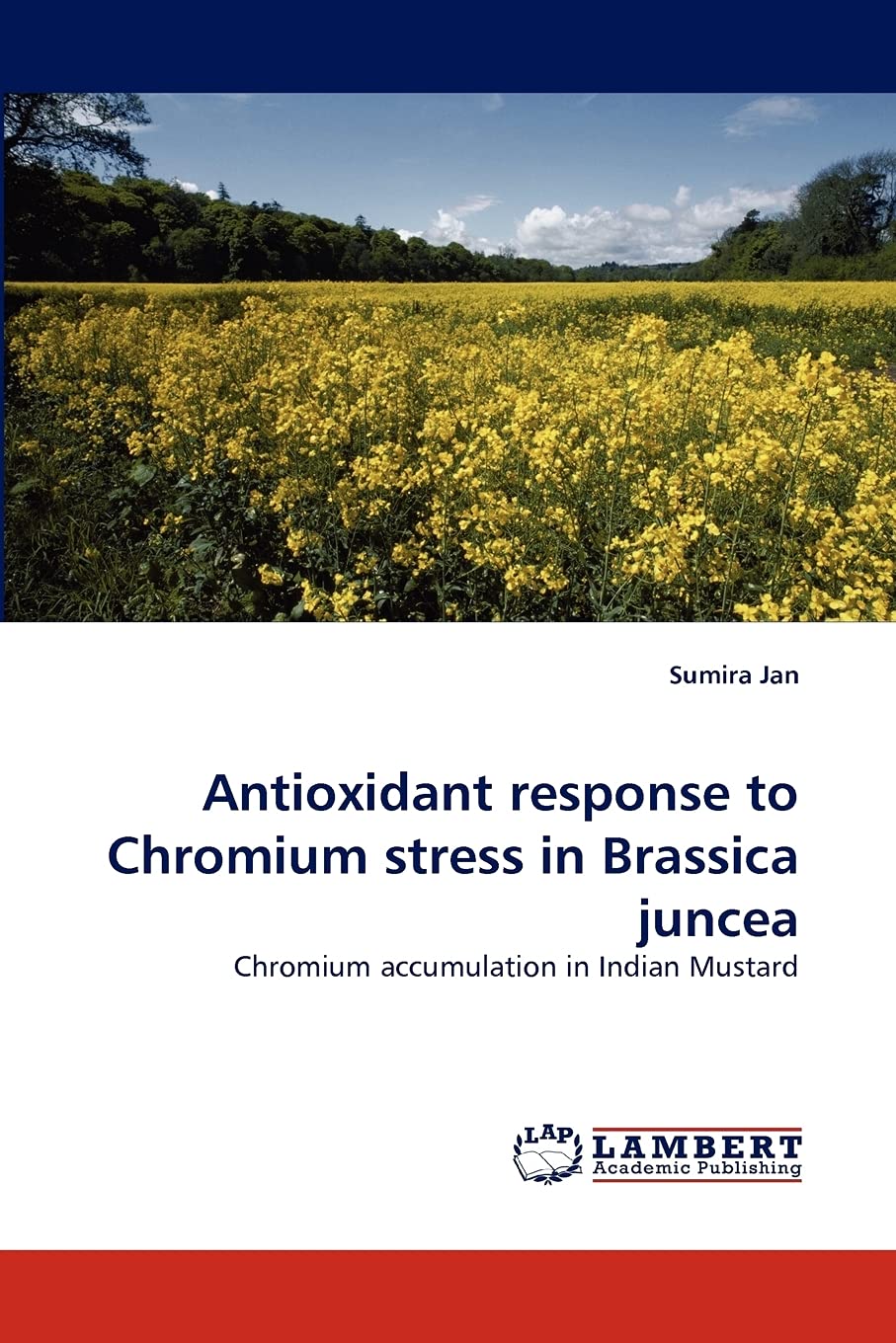 Antioxidant response to Chromium stress in Brassica juncea: Chromium accumulation in Indian Mustard,Used