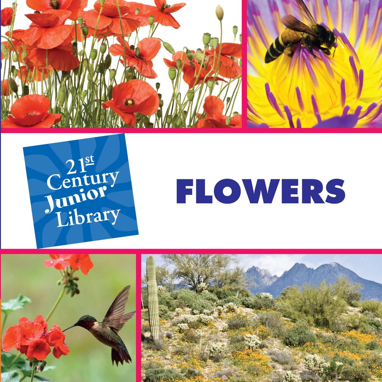 Flowers (21st Century Junior Library: Plants),Used
