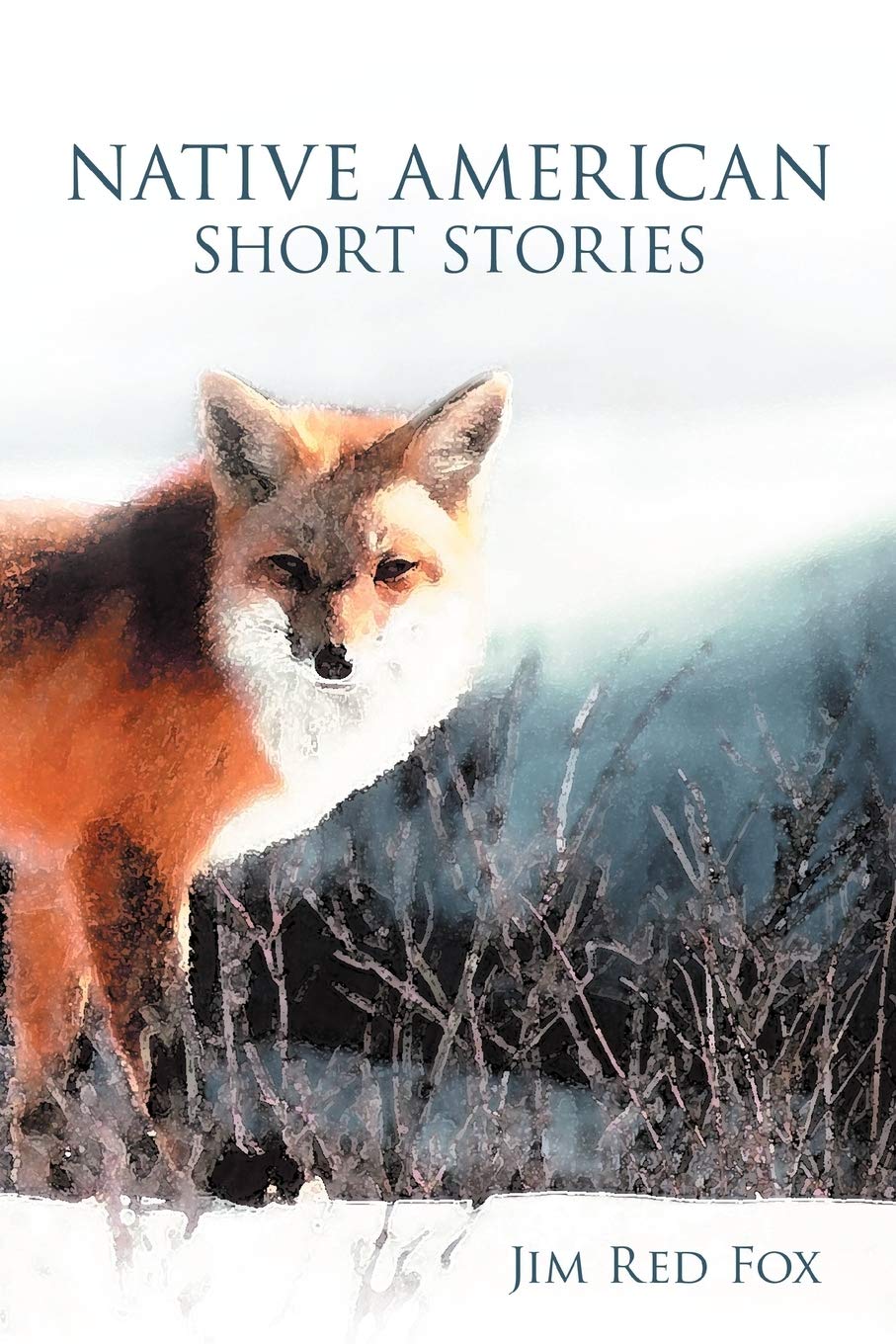 Native American Short Stories,Used