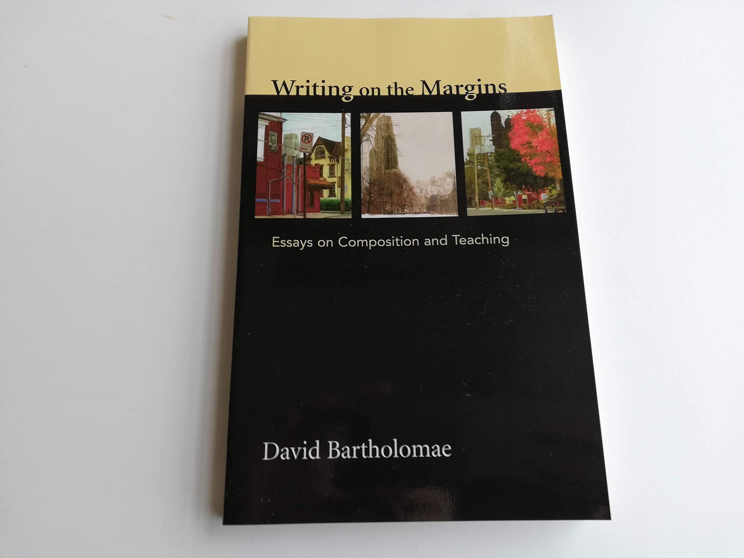 Writing on the Margins: Essays on Composition and Teaching,Used