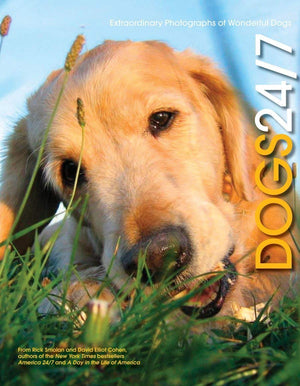 Dogs 24/7: Extraordinary Photographs Of Wonderful Dogs