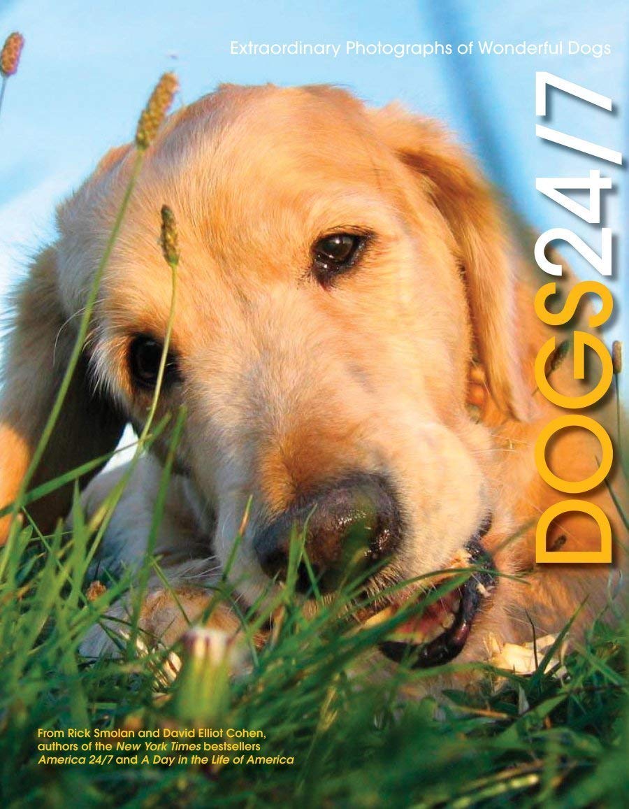 Dogs 24/7: Extraordinary Photographs Of Wonderful Dogs