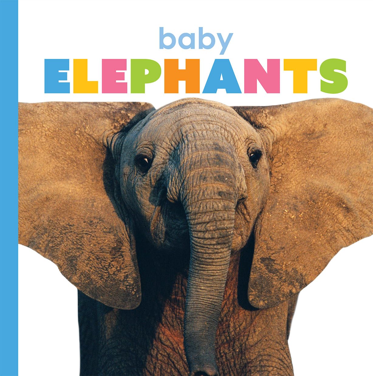 Baby Elephants,Used