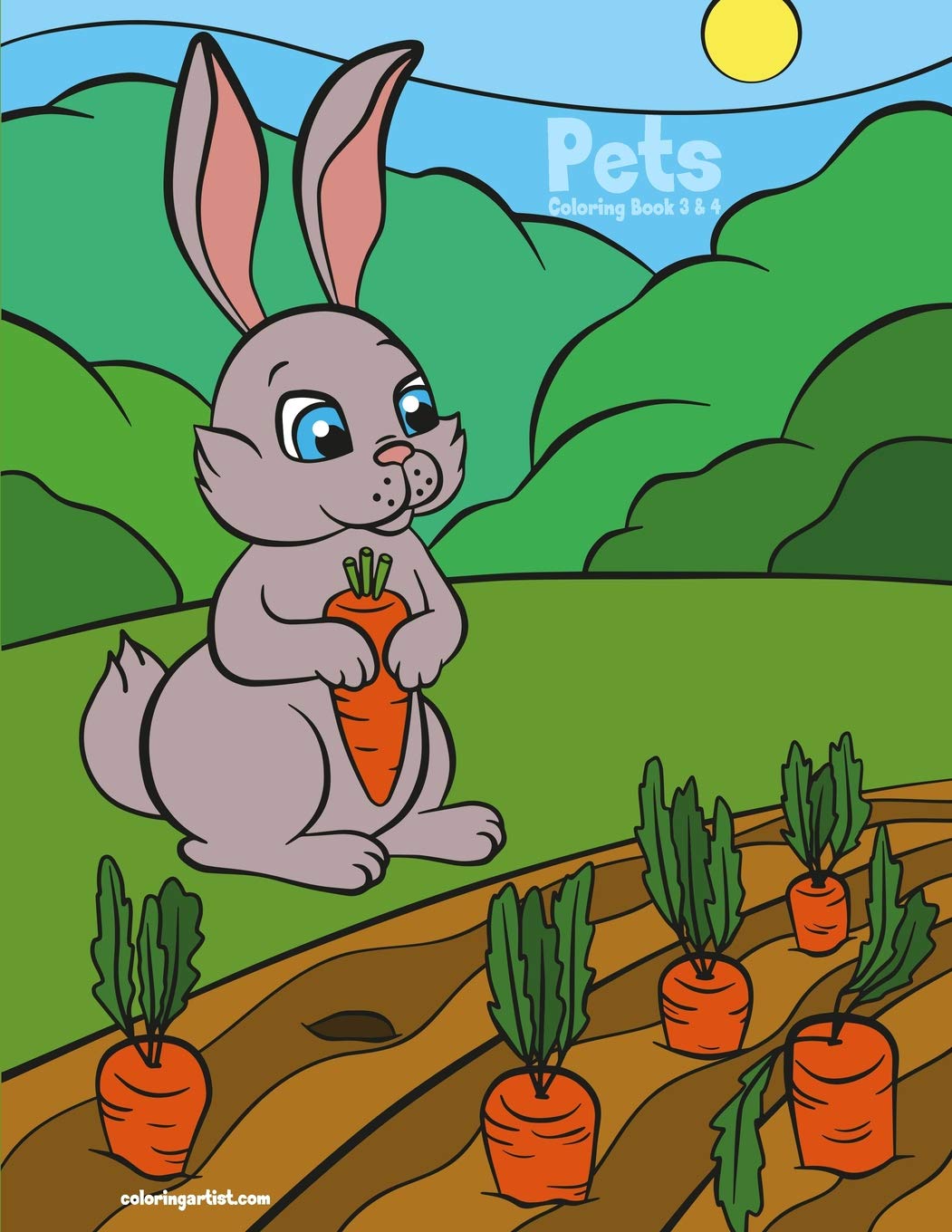 Pets Coloring Book 3 & 4,Used