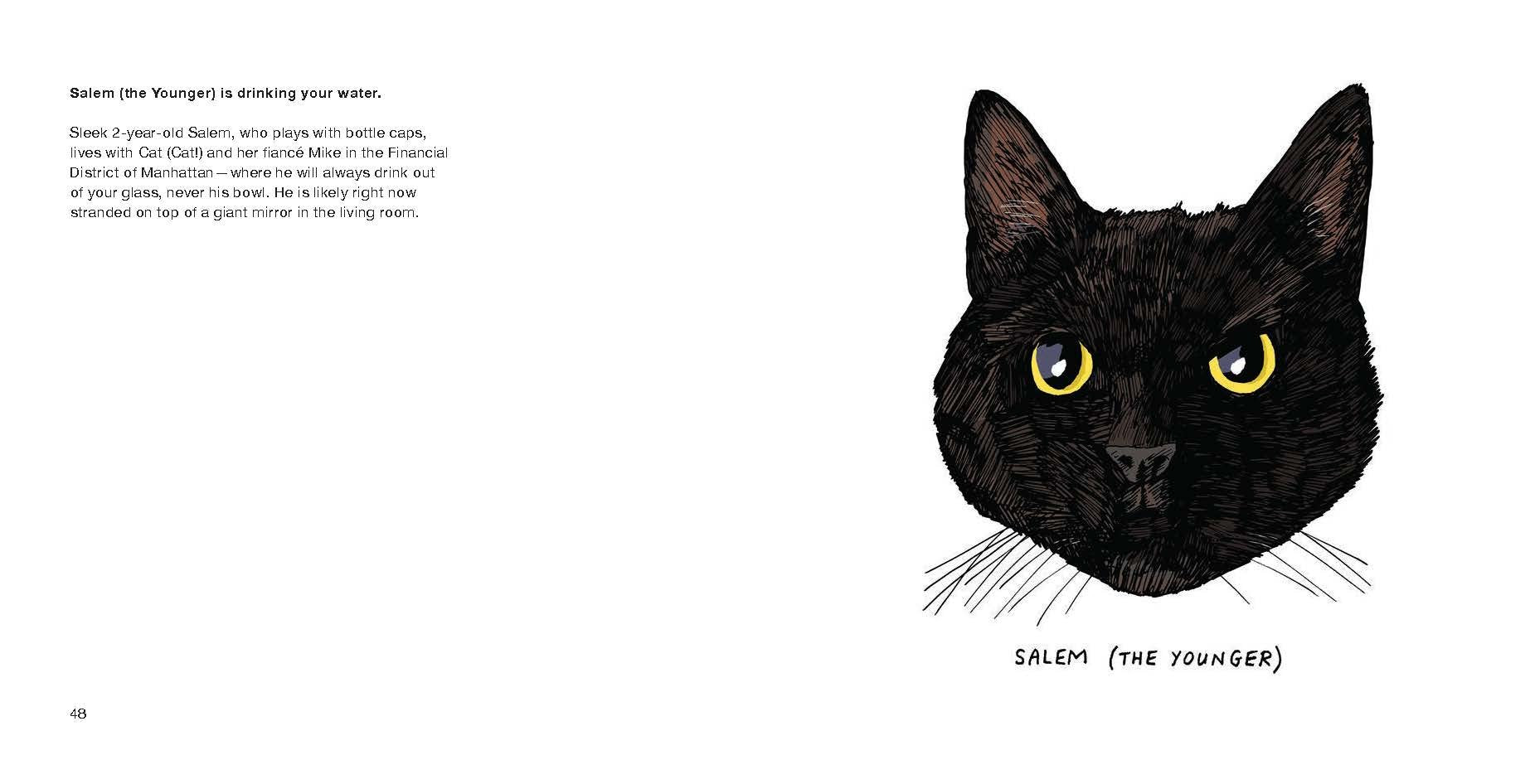 All Black Cats Are Not Alike