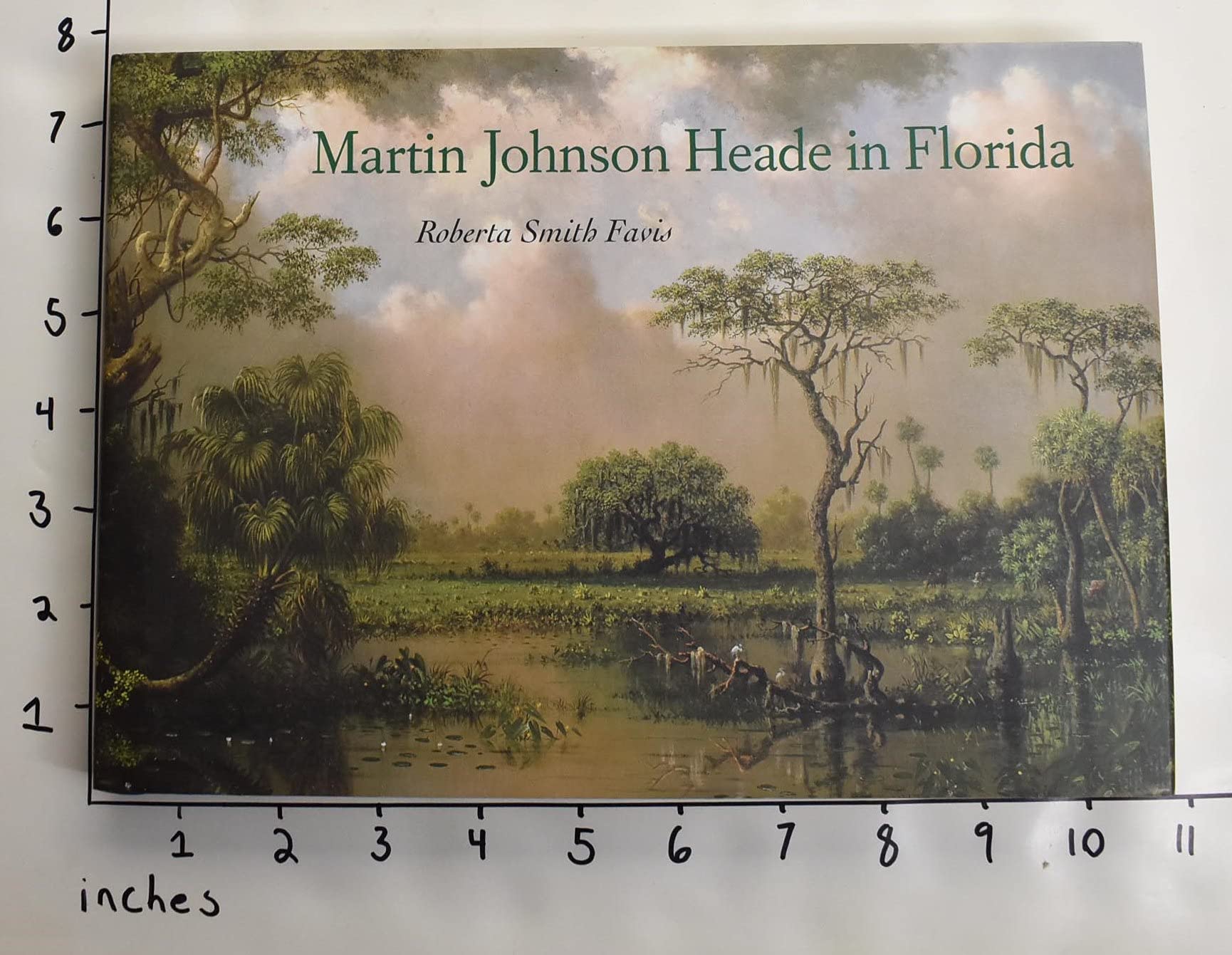 Martin Johnson Heade In Florida,Used