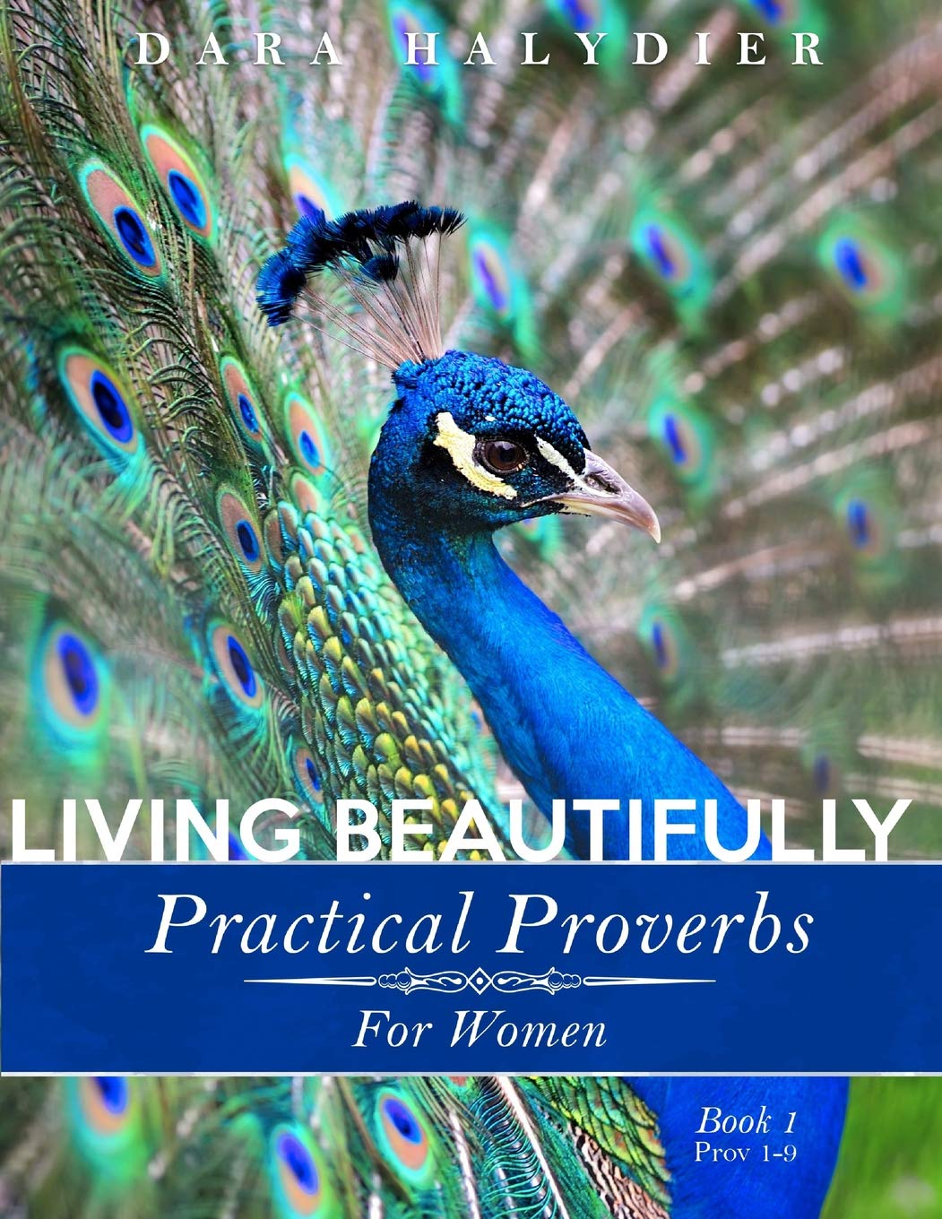Living Beautifully: Practical Proverbs for Women (Practical Proverbs Bible Study Series),Used