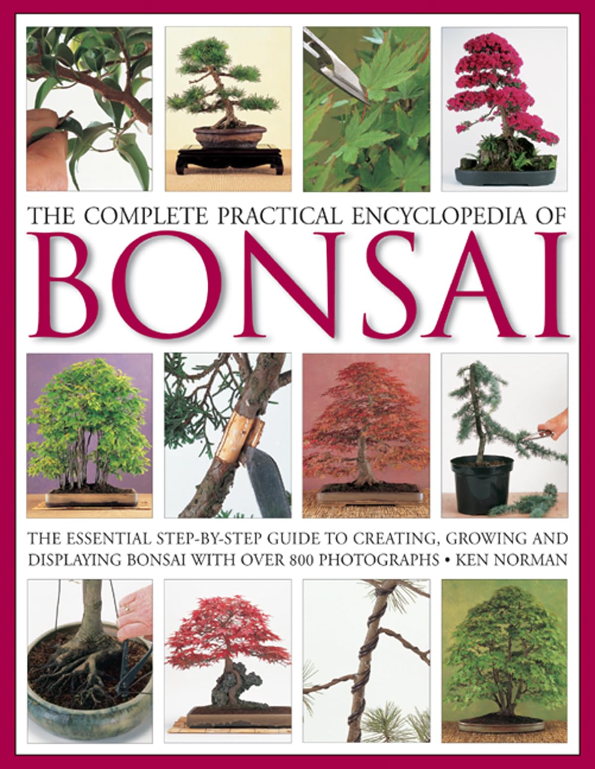 The Complete Practical Encyclopedia of Bonsai: The Essential StepbyStep Guide to Creating, Growing, and Displaying Bonsai with,Used