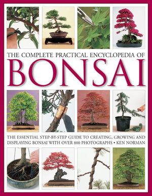 The Complete Practical Encyclopedia of Bonsai: The Essential StepbyStep Guide to Creating, Growing, and Displaying Bonsai with,Used
