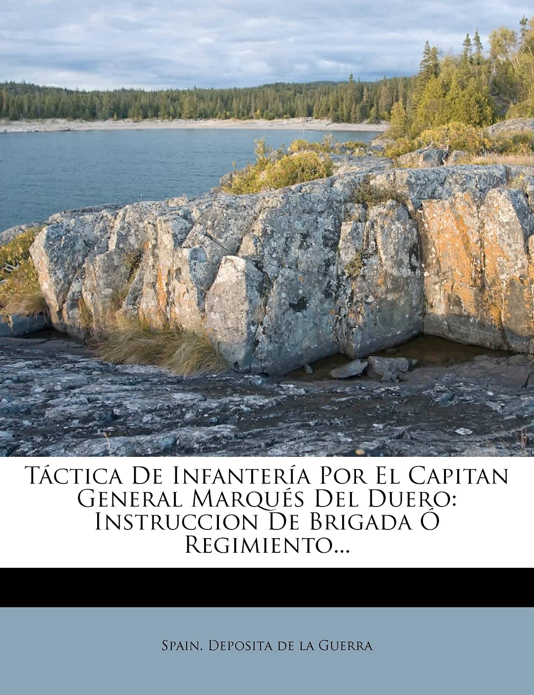 Tctica De Infantera Por El Capitan General Marqus Del Duero: Instruccion De Brigada  Regimiento... (Spanish Edition),New