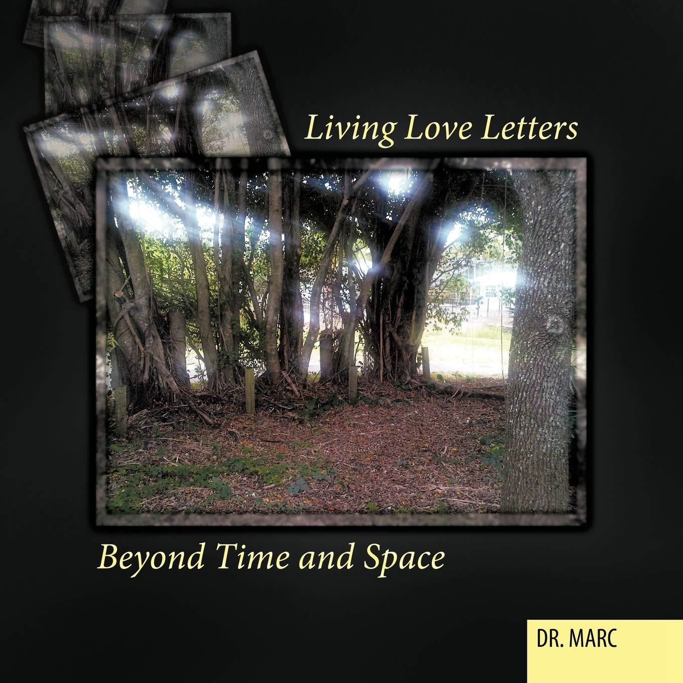 Living Love Letters Beyond Time And Space,Used