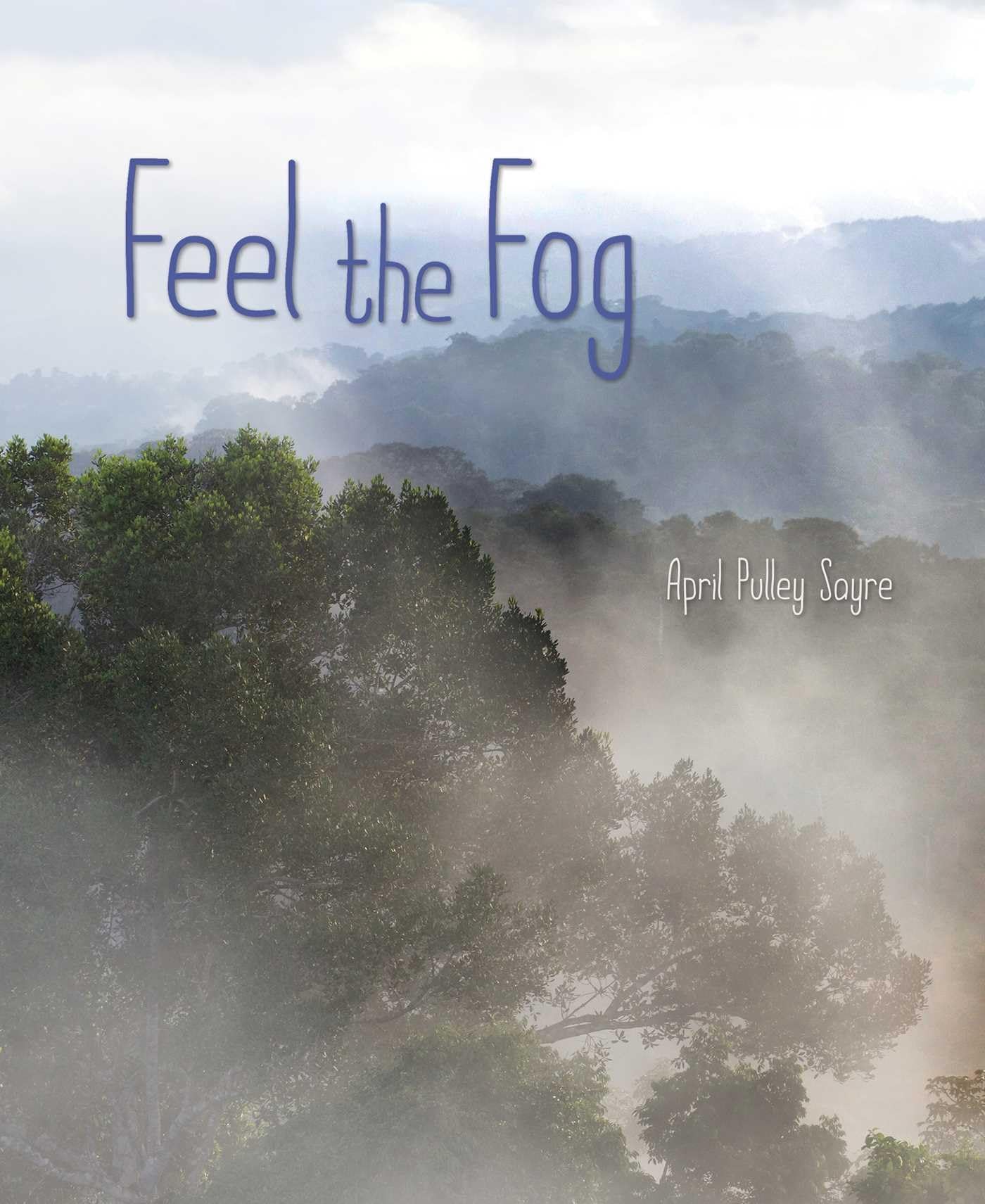 Feel the Fog (Weather Walks),Used