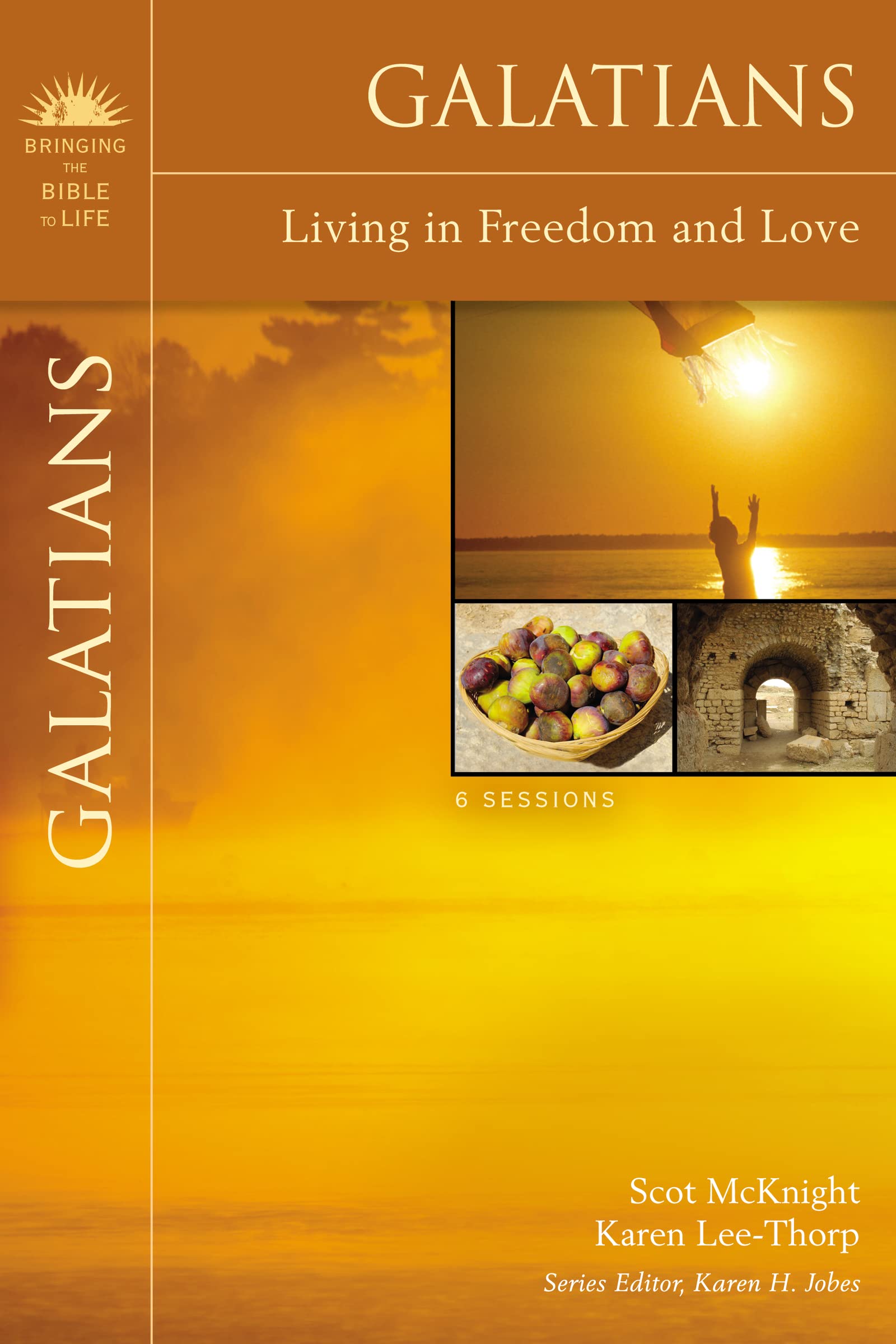 Galatians: Living in Freedom and Love (Bringing the Bible to Life),Used