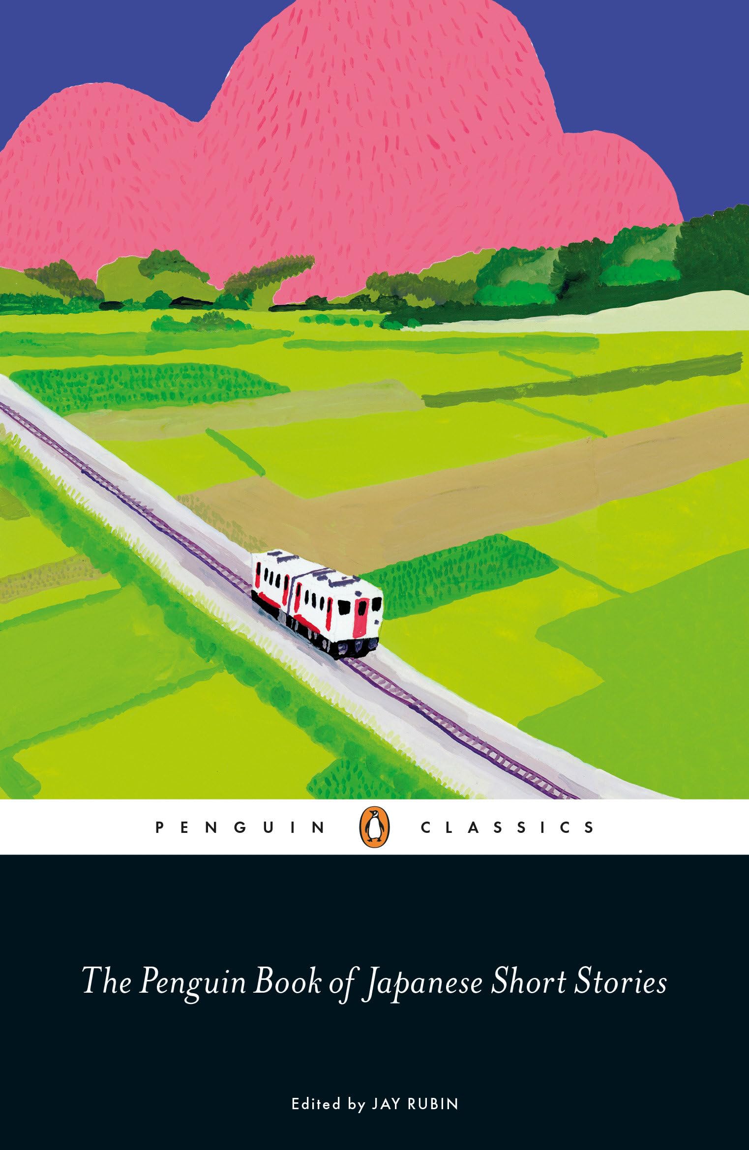 The Penguin Book of Japanese Short Stories,Used