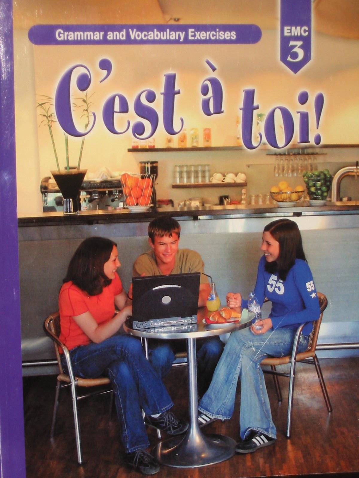 C'Est A Toi!, Level 3, Grammar And Vocabulary Exercises (French Edition),Used