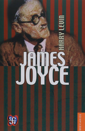 James Joyce : introduccion critica (Spanish Edition),Used