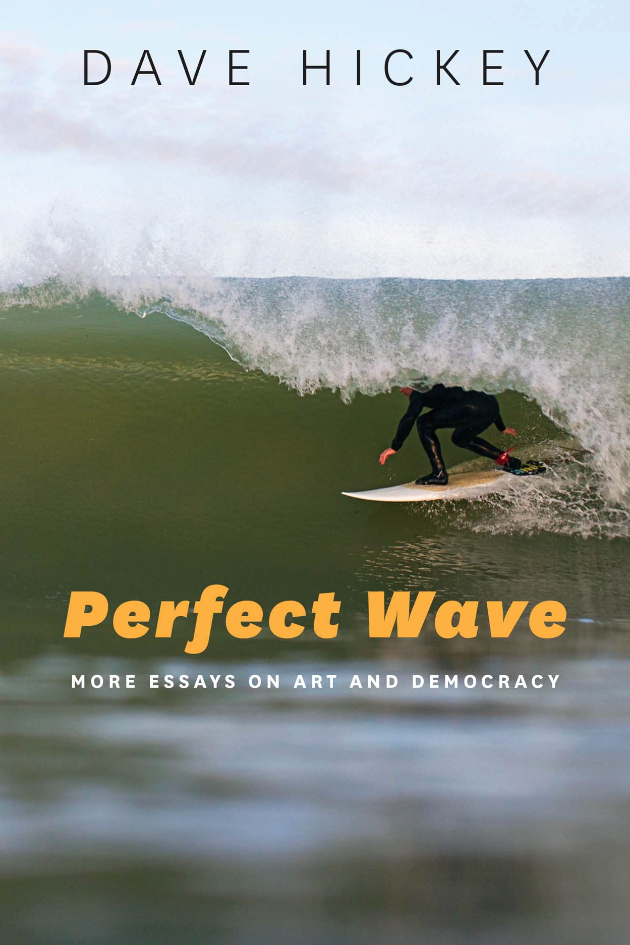 Perfect Wave: More Essays on Art and Democracy,New