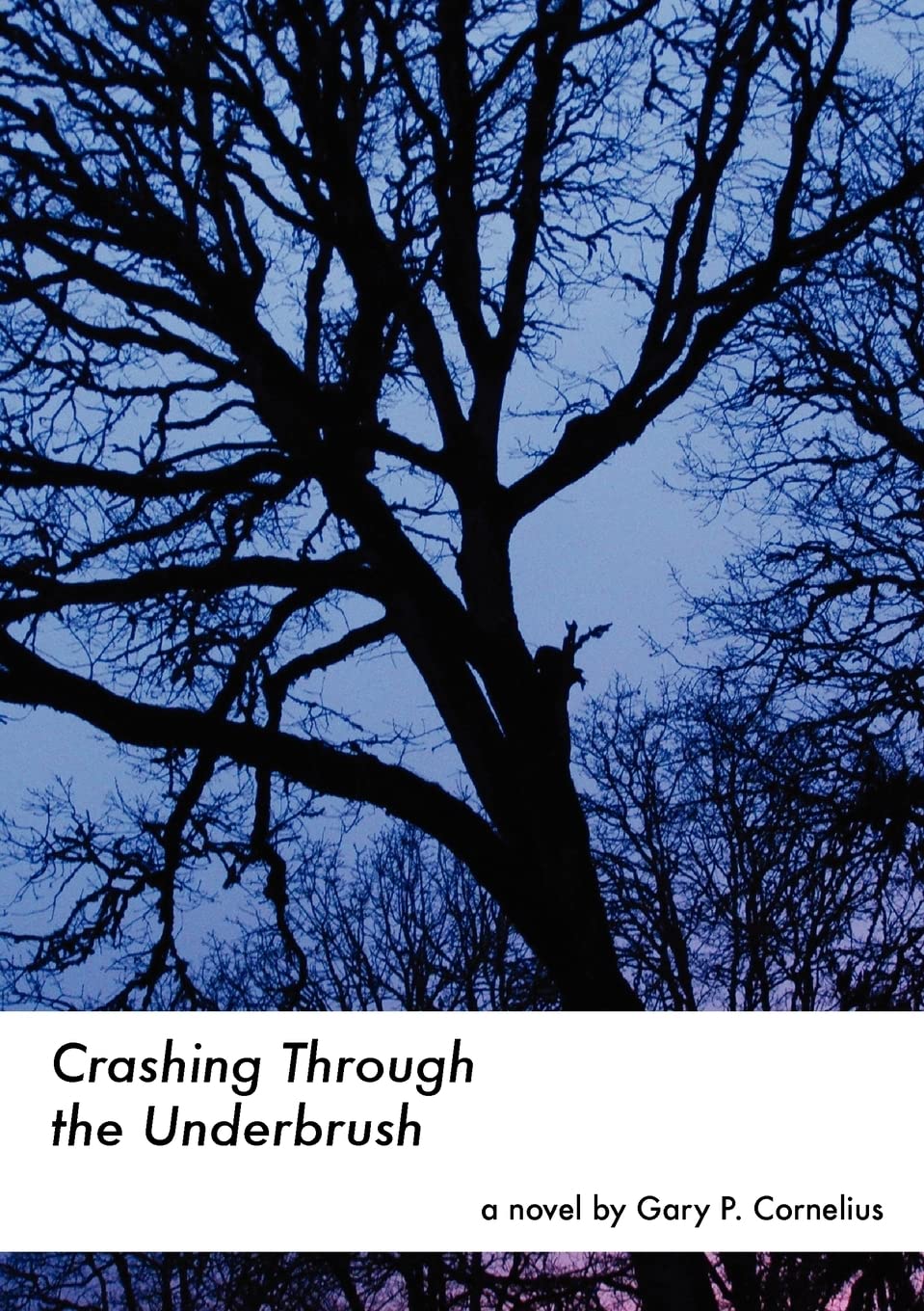 Crashing Through The Underbrush,Used