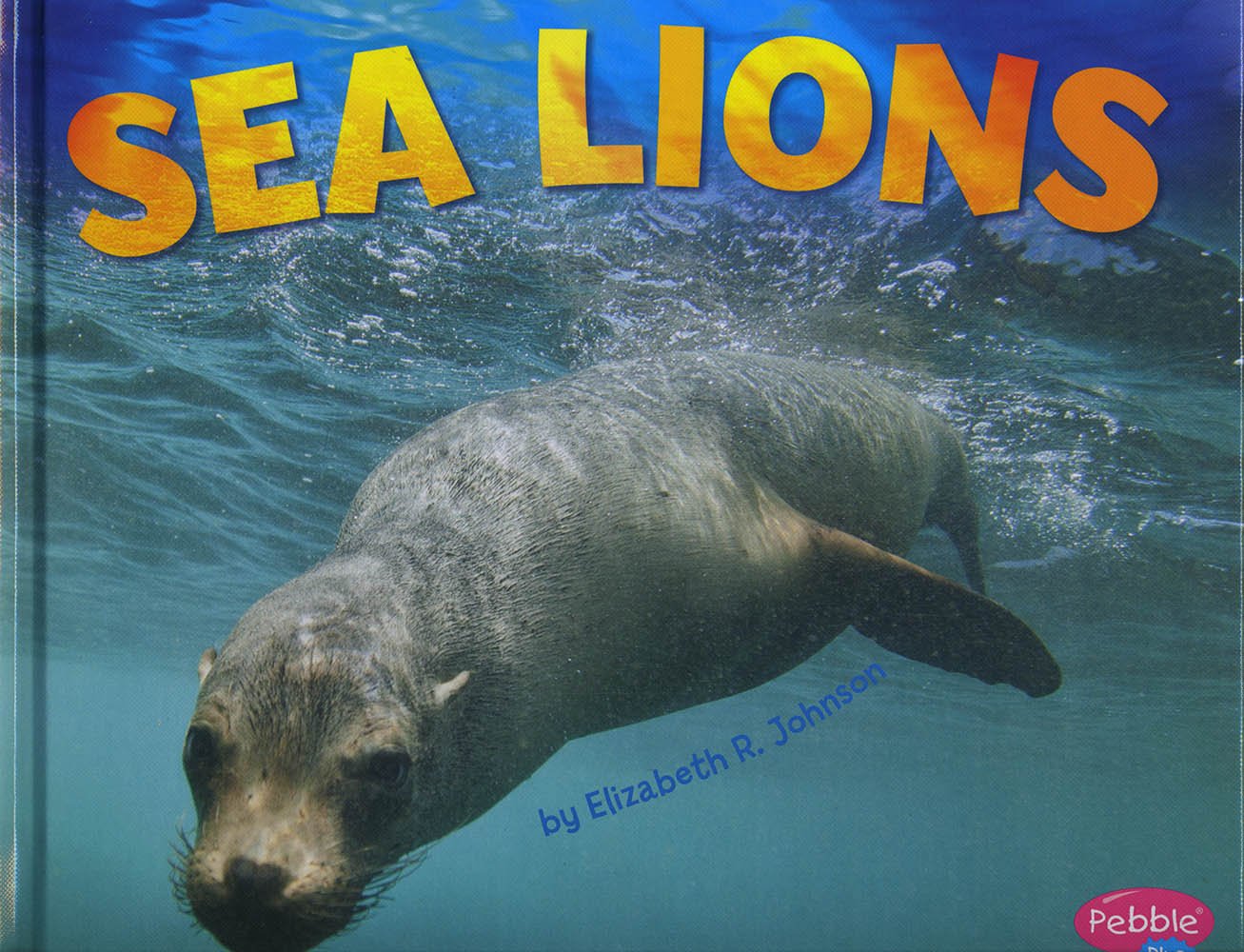 Sea Lion (Sea Life),Used