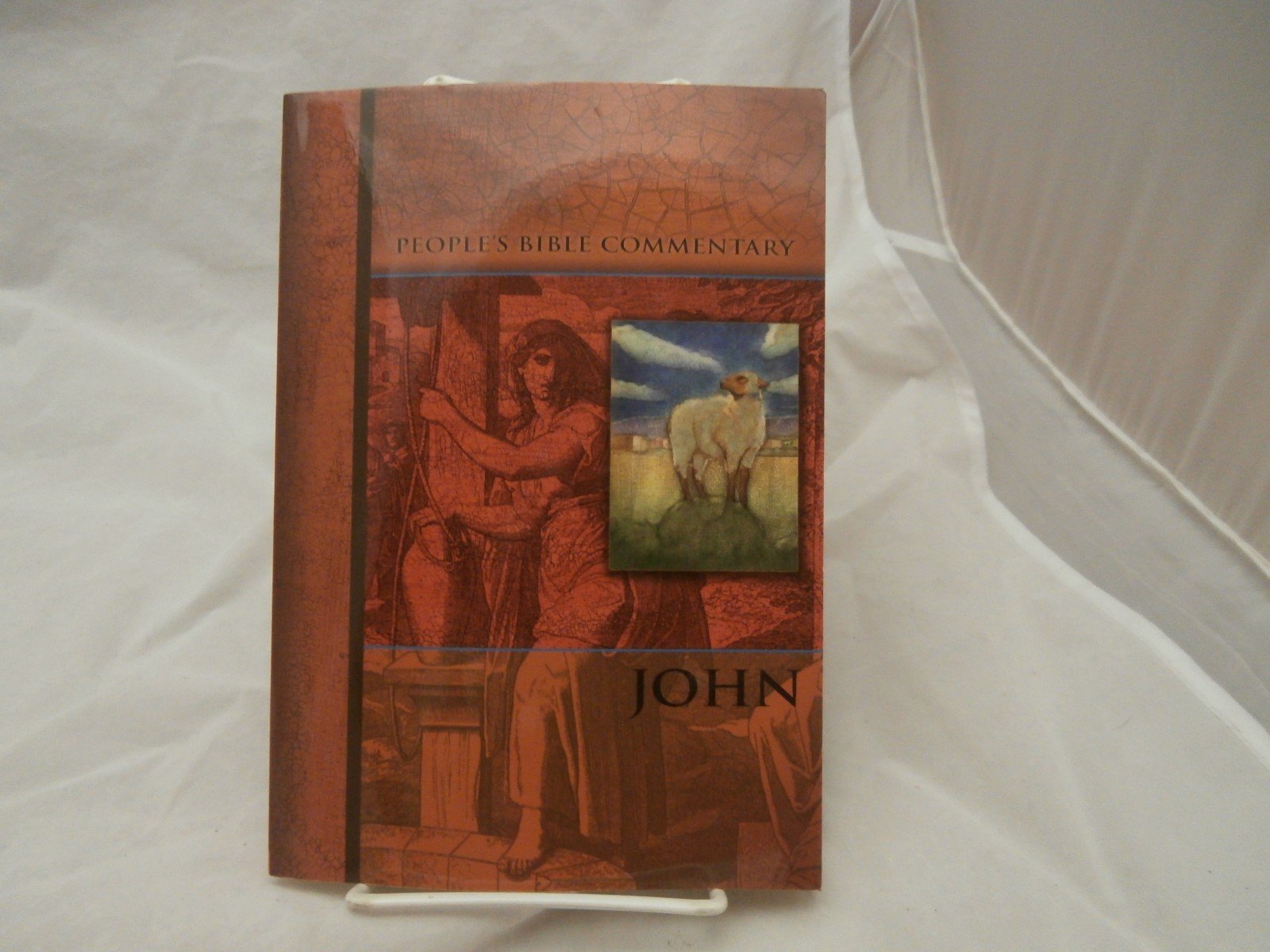 John (People's Bible Commentary),New