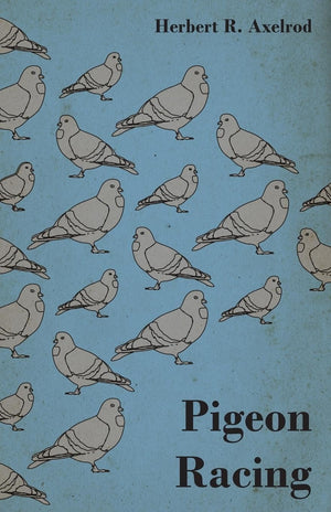 Pigeon Racing,Used