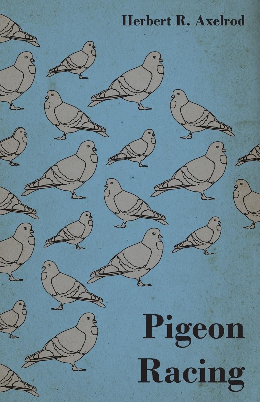 Pigeon Racing,Used