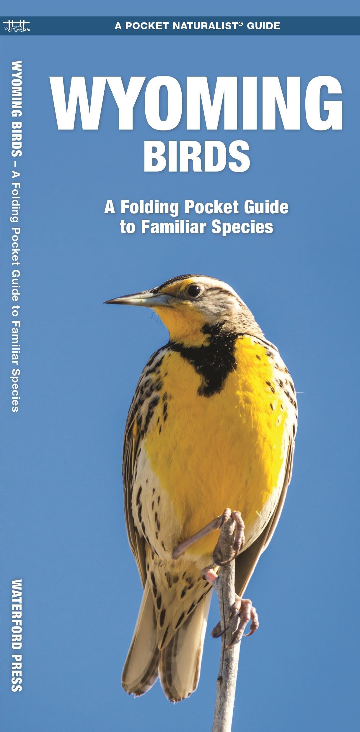 Wyoming Birds: A Folding Pocket Guide to Familiar Species (Wildlife and Nature Identification),Used