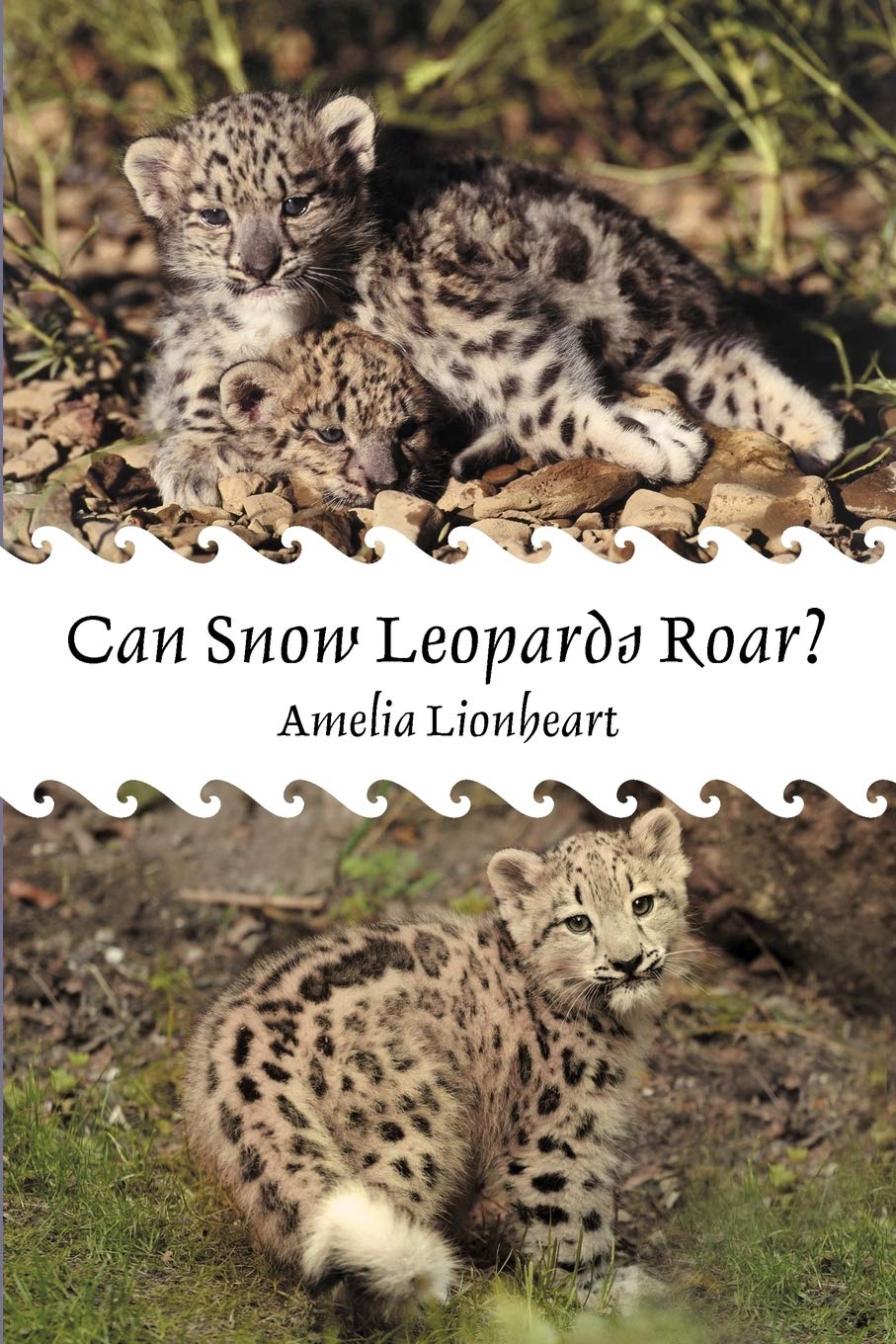 Can Snow Leopards Roar?,Used