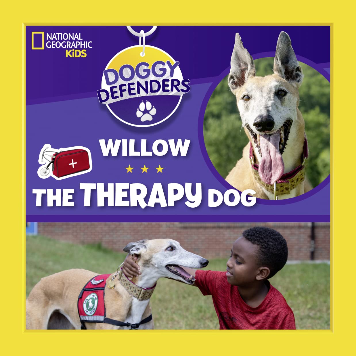 Doggy Defenders: Willow the Therapy Dog,Used