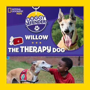 Doggy Defenders: Willow the Therapy Dog,Used
