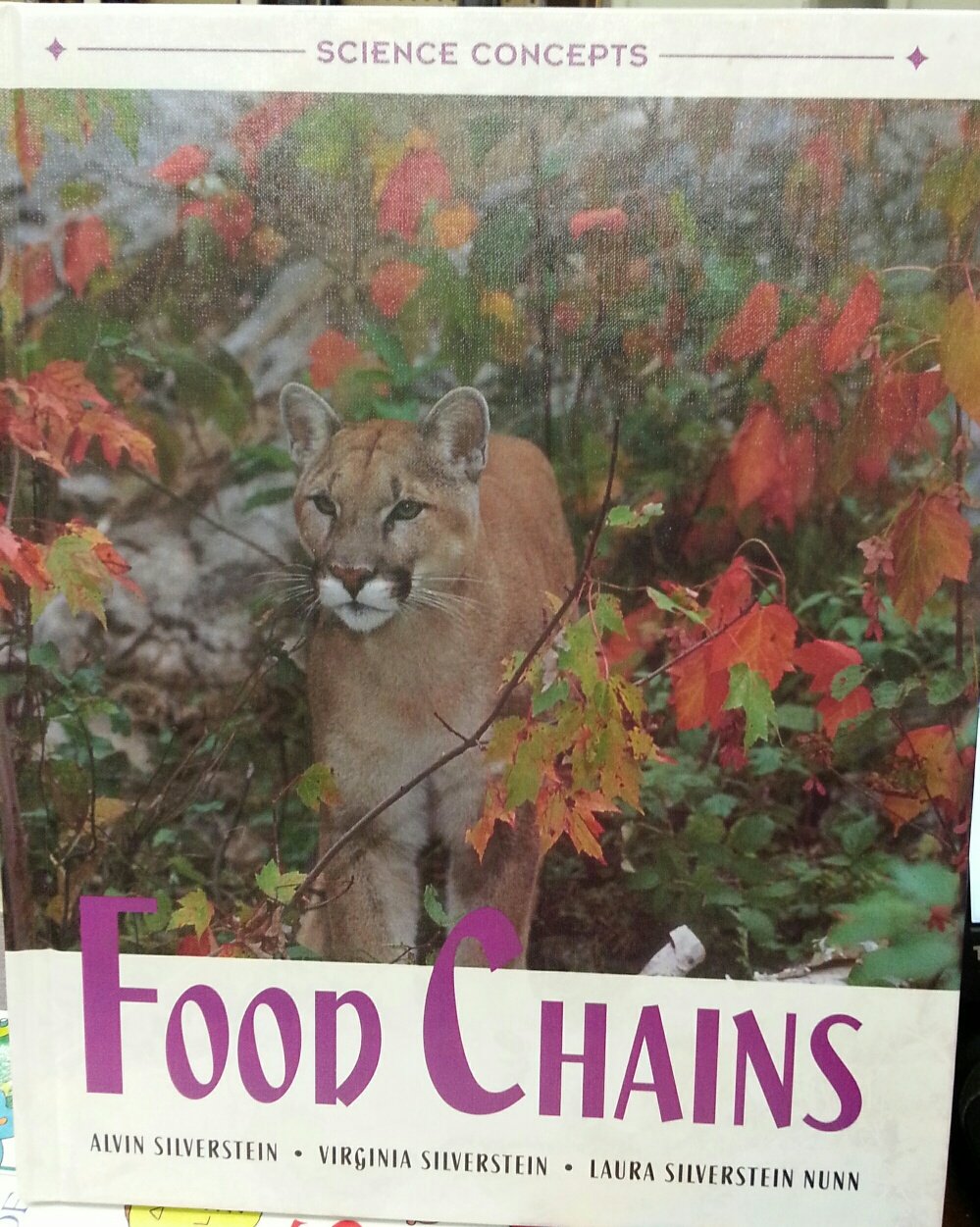 Food Chains (Science Concepts),Used