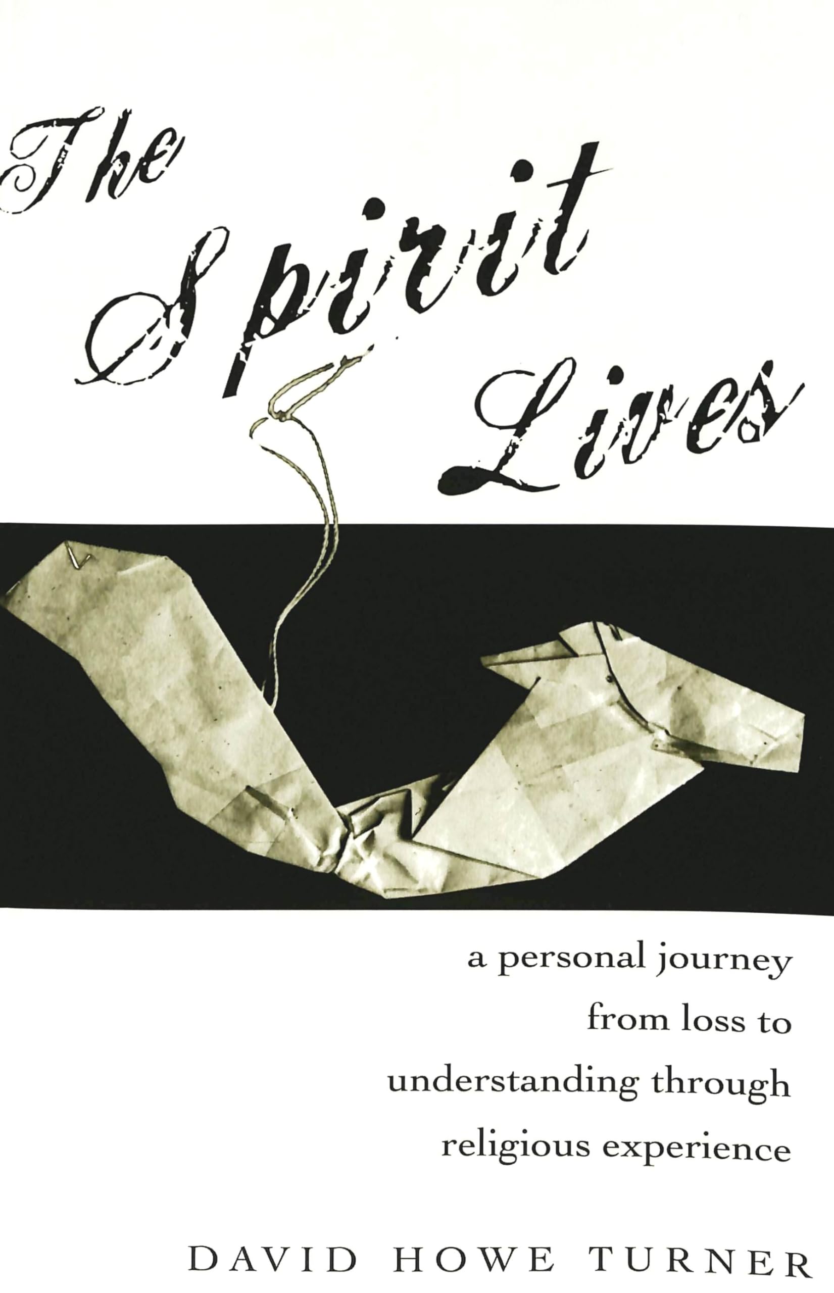 The Spirit Lives: A Personal Journey from Loss to Understanding through Religious Experience,New