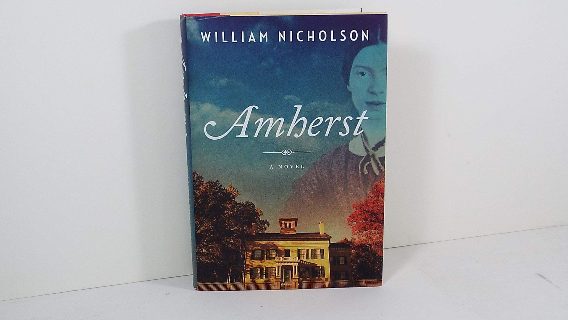 Amherst: A Novel,Used